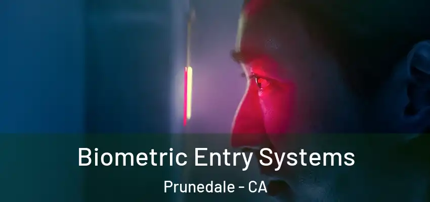  Biometric Entry Systems Prunedale - CA